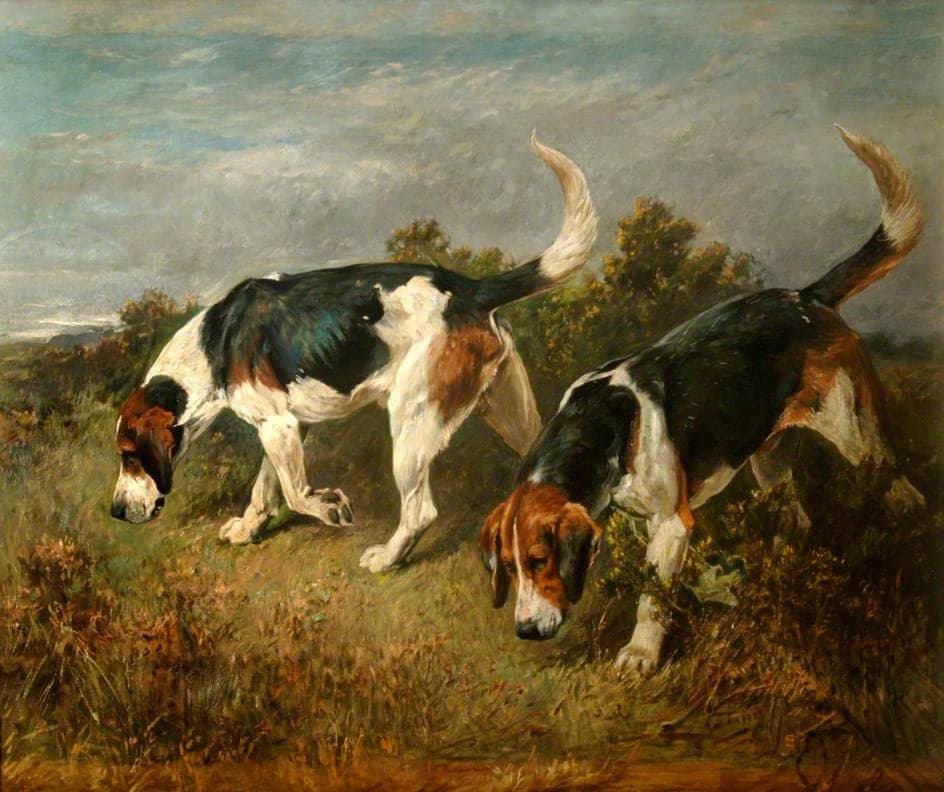 Buckhound