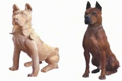 Chuandong Hound