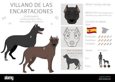 Villano de las Encartaciones
